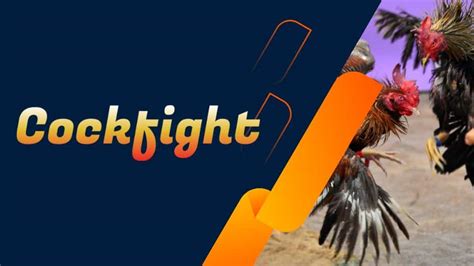 online betting cockfighting - Bet on Live Cockfights & Win Big with A2K Live.